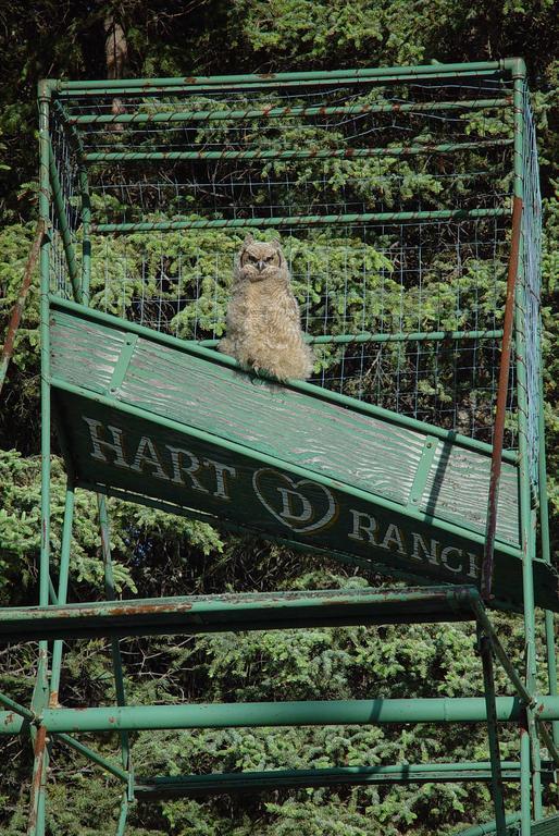 Hart D Ranch Villa Slana Luaran gambar